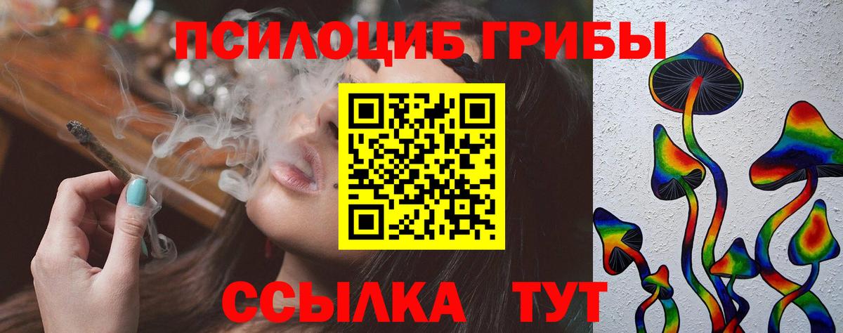 Владимир  Галлюциногенные грибы Cubensis  магазин    Вход с VPN 