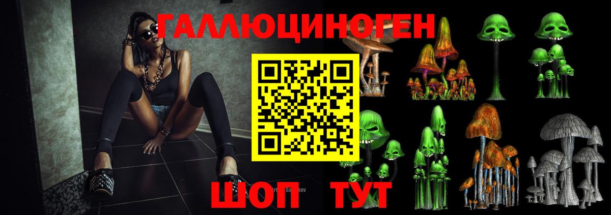Псилоцибиновые грибы Psilocybe Владимир