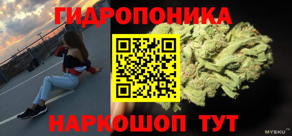Канабис сатива Владимир